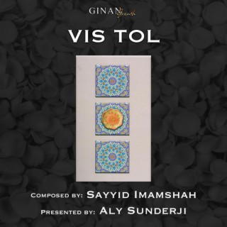 Vis Tol - વીસ ટોલ