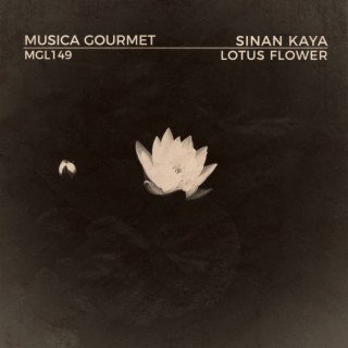 Lotus Flower