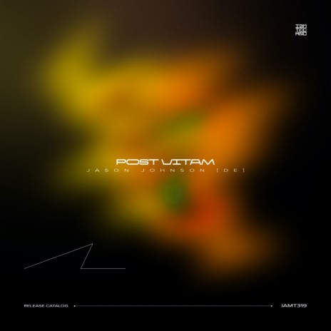 Post Vitam (Original Mix) | Boomplay Music