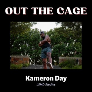 Out the Cage (Spring Version) lyrics | Boomplay Music