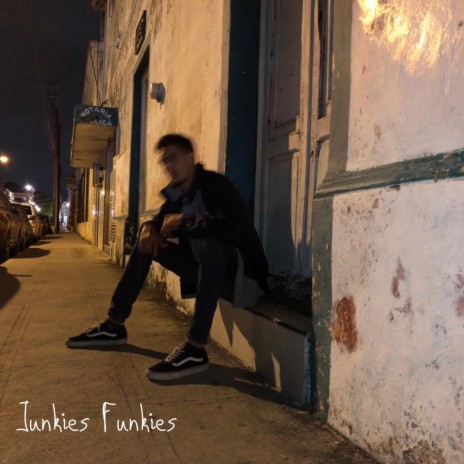 Junkies Funkies | Boomplay Music