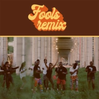 Fools (Remixes)
