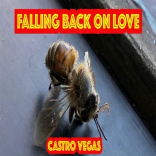 FALLING BACK ON LOVE