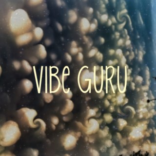 Vibe Guru