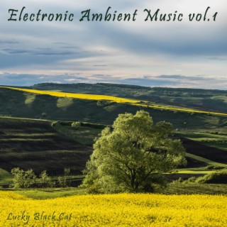 Electronic Ambient Music, Vol. 1