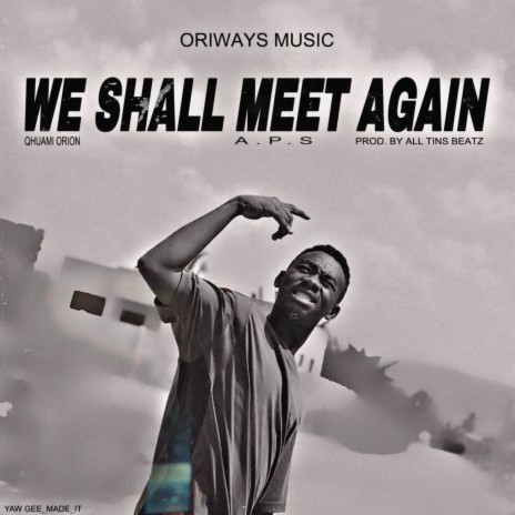 We Shall Meet Again ft. The A.P.S. | Boomplay Music