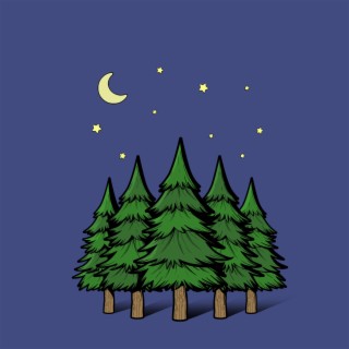 The Woods (We All Good) lyrics | Boomplay Music