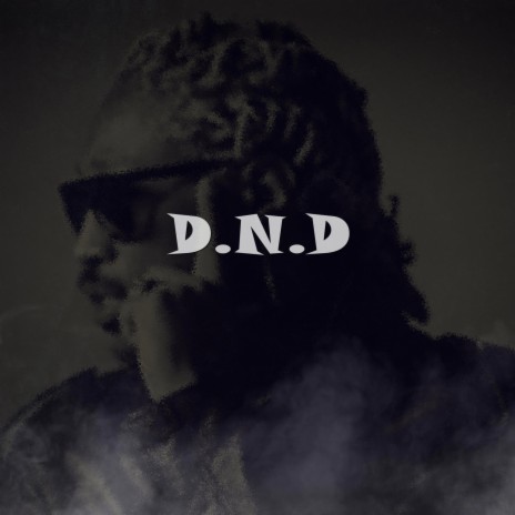D.N.D (Instrumental)