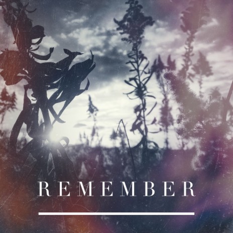 Remember | Boomplay Music