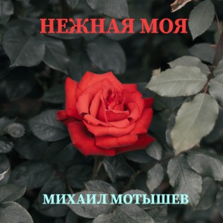 Нежная моя