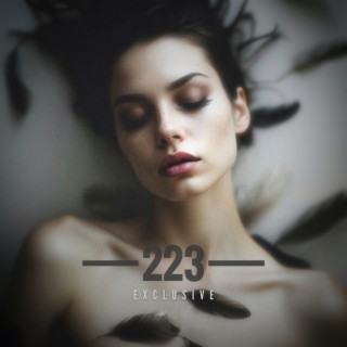 223 (Exclusive)