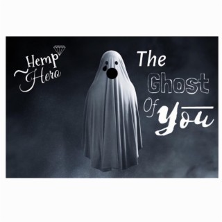 The Ghost of You lyrics | Boomplay Music