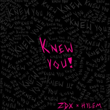 Knew you ft. Hylem