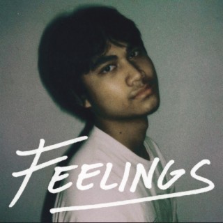 Feelings