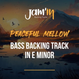 Peaceful Mellow Bass Backing Track in E Minor