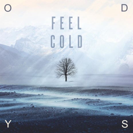 FEEL COLD | Boomplay Music