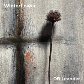 Winterflower