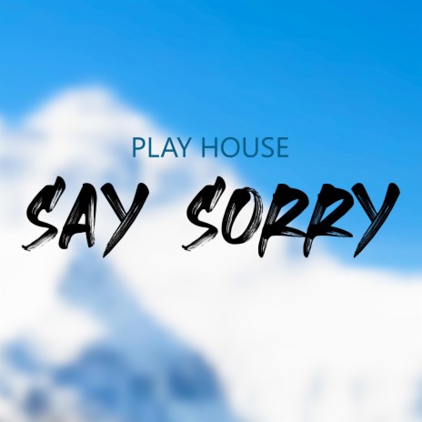 Say Sorry | Boomplay Music