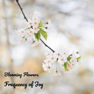 Blooming Flowers