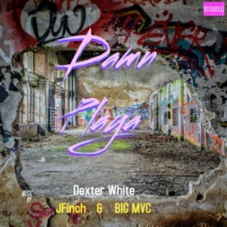 Damn Playa (feat. JFinch & Big MVC)