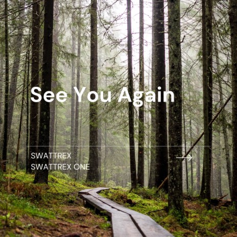 See You Again ft. Swattrex One | Boomplay Music