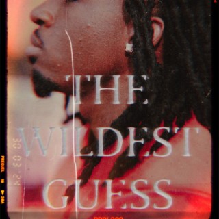 The Wildest Guess