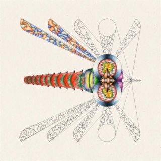 Dragonfly (Remixes)