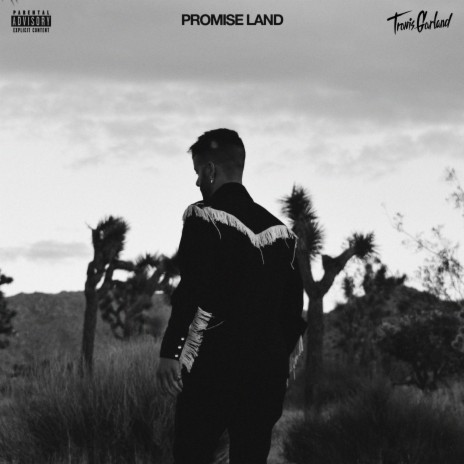 Promise Land | Boomplay Music