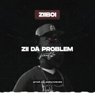 ZII DA PROBLEM