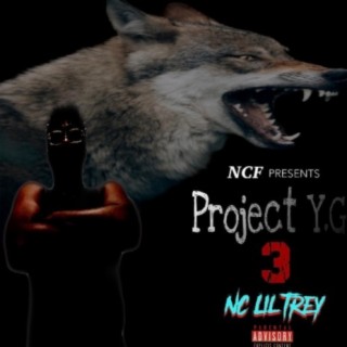 Project YG 3