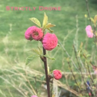 Strictly Drone