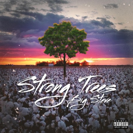 Strong Trees | Boomplay Music