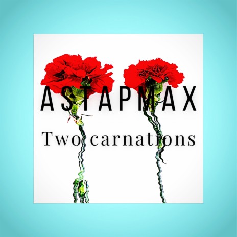 Two Carnations | Boomplay Music