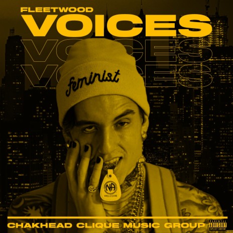 Voices | Boomplay Music