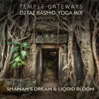 Temple Gateways (DJ Taz Rashid Yoga Mix)