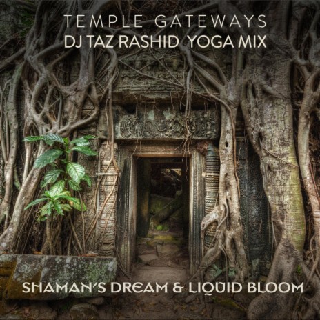 Temple Gateways (DJ Taz Rashid Yoga Mix) ft. Liquid Bloom & DJ Taz Rashid | Boomplay Music