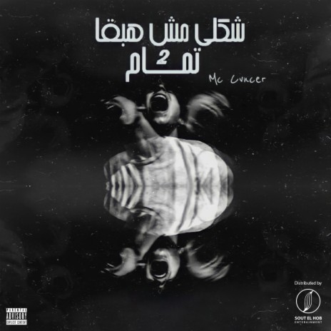 Shakly Msh Habka Tmam, Pt. 2 (Pt,2) | Boomplay Music