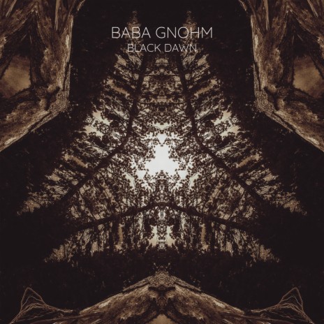 Black Dawn | Boomplay Music