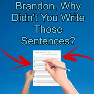 Brandon, Why Didn't You Write Those Sentences?