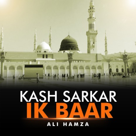 Kash Sarkar Ik Baar | Boomplay Music