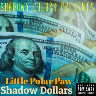 Shadow Dollars