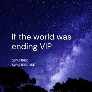 If The World Was Ending VIP