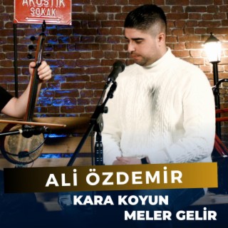 Kara Koyun Meler Gelir (Ali Özdemir)