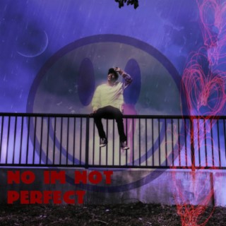 NO I'M NOT PERFECT