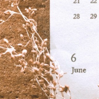 June 6