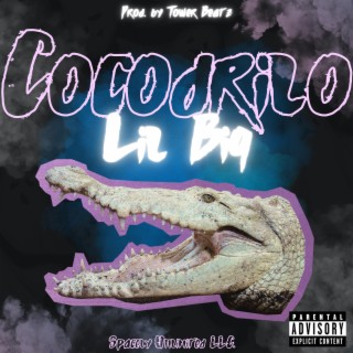 Cocodrilo lyrics | Boomplay Music