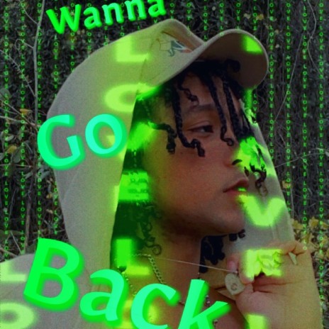 Wanna Go Back | Boomplay Music