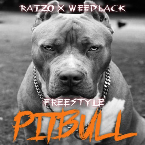 Pitbull ft. Raizo