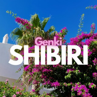 SHIBIRI lyrics | Boomplay Music