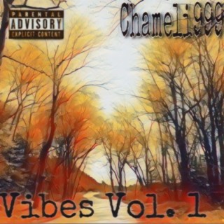 Vibes Volume 1